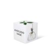 Avocado Vase Box by Ilex