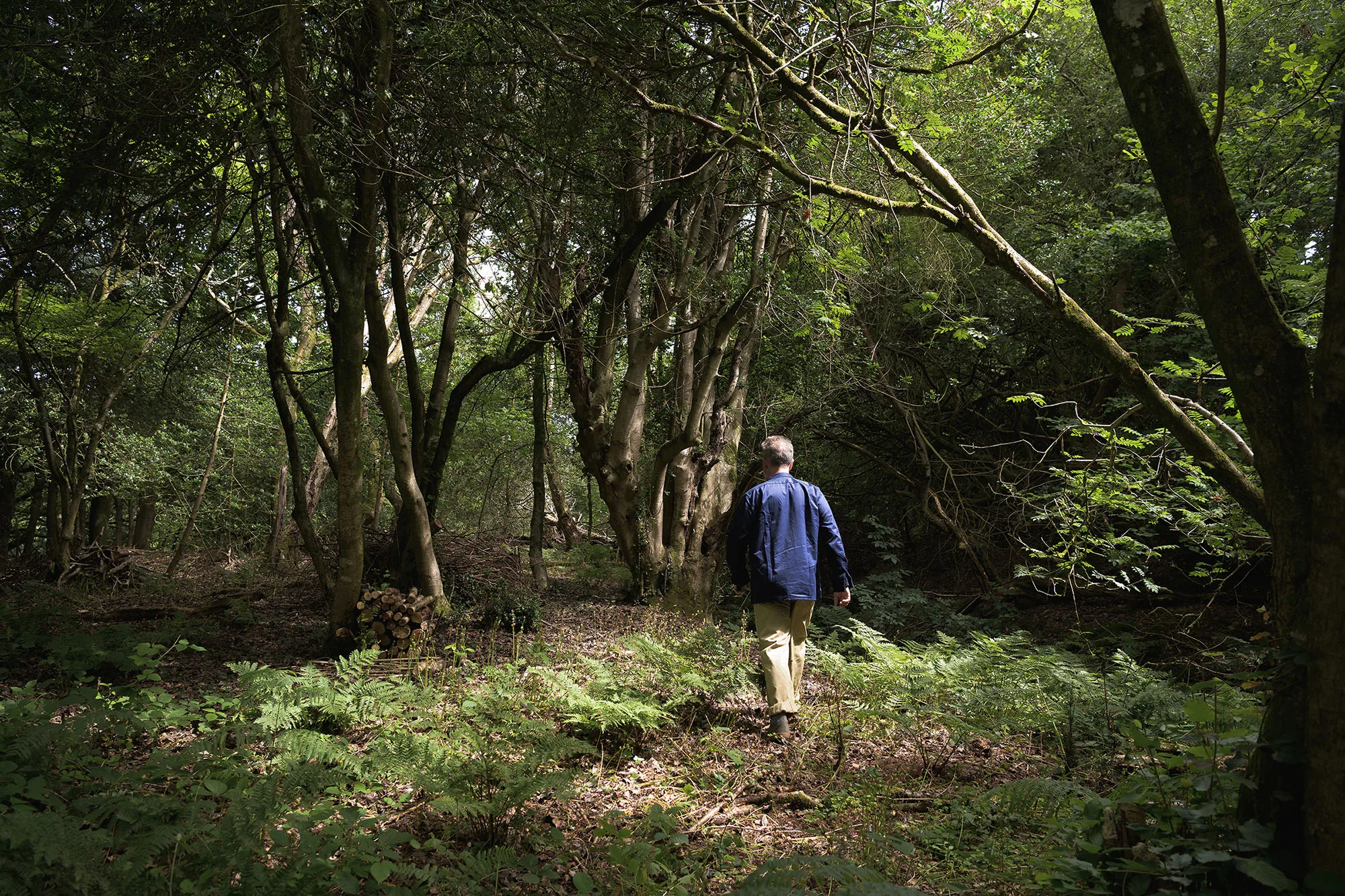 Our partnership with Heal Rewilding