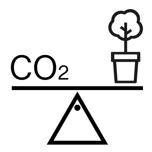 scale icon